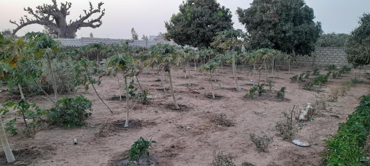 Saly Lrad Le Village Ngaring Exterior photo