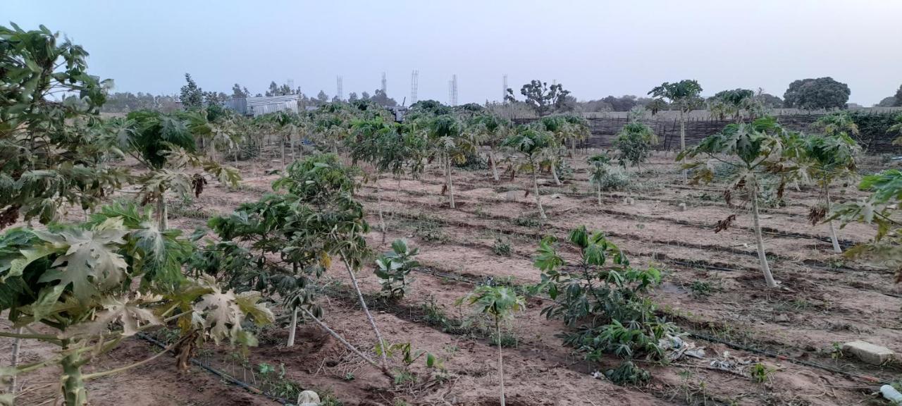 Saly Lrad Le Village Ngaring Exterior photo