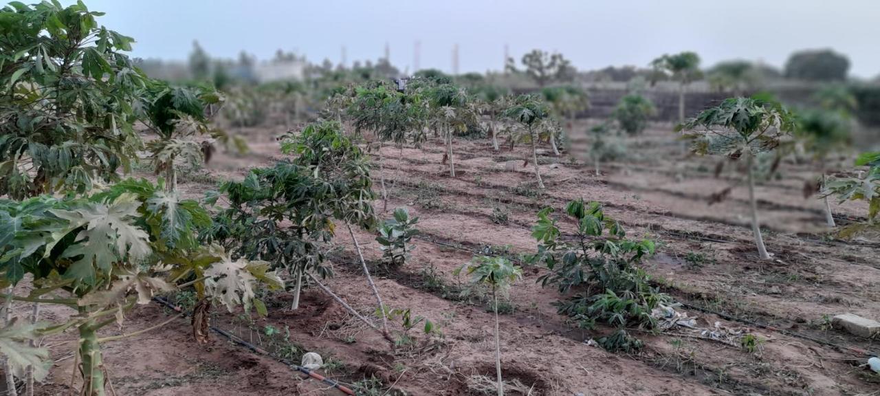 Saly Lrad Le Village Ngaring Exterior photo